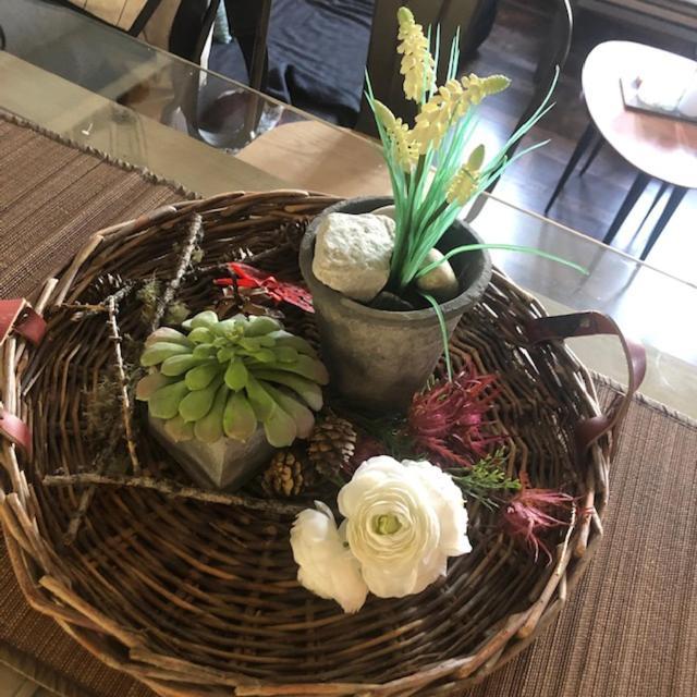 Petit Appart De Charme Eau Chaude Solaire Renovation 2021 Wifi Disponible Belvedere 5 Saint-Luc Zewnętrze zdjęcie